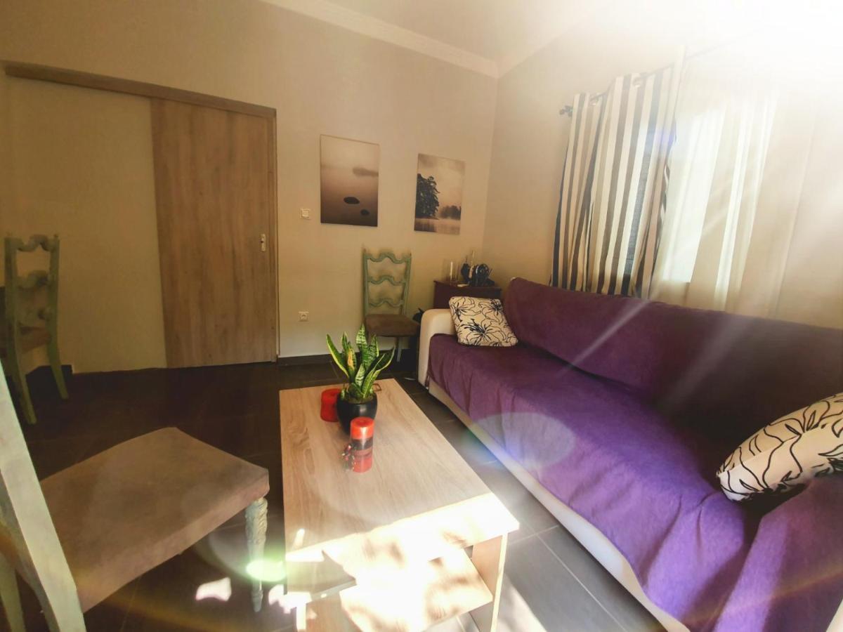 Ilias' cosy&relaxing apartment Atenas Exterior foto