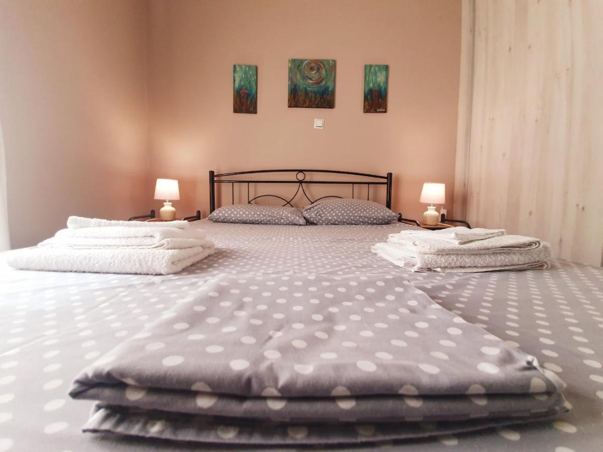 Ilias' cosy&relaxing apartment Atenas Exterior foto
